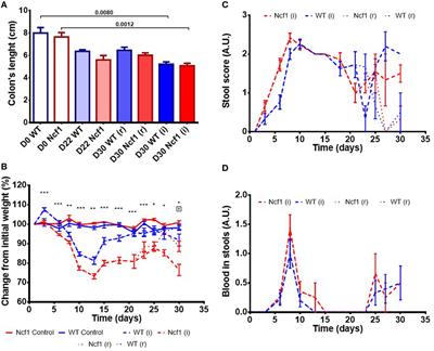 Reactive Oxygen Species Deficiency Due to Ncf1-Mutation Leads to Development of Adenocarcinoma and Metabolomic and Lipidomic Remodeling in a New Mouse Model of Dextran Sulfate Sodium-Induced Colitis